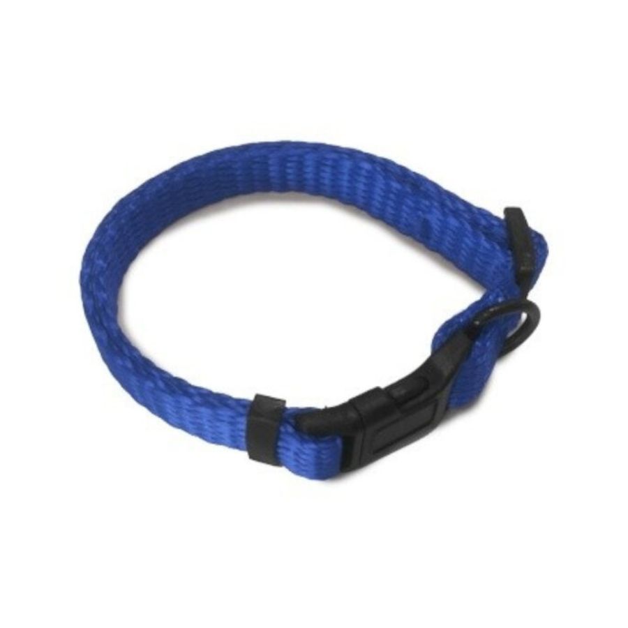 Collar azul Outech